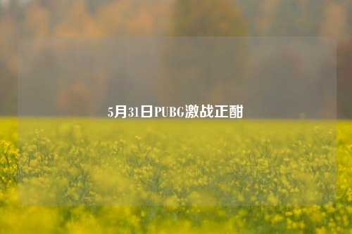 5月31日PUBG激战正酣