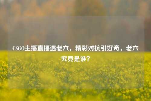 CSGO主播直播遇老六,精彩对抗引好奇,老六究竟是谁?
