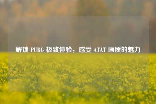 解锁 PUBG 极致体验,感受 ATAT 画质的魅力