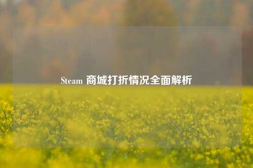 Steam 商城打折情况全面解析