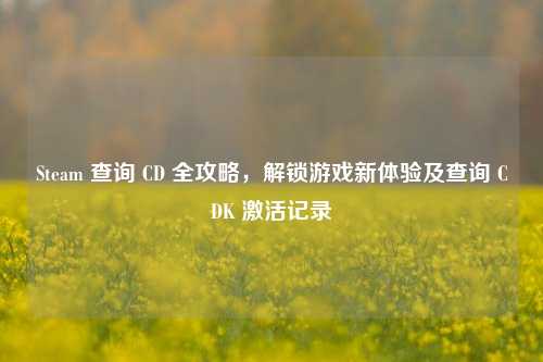 Steam 查询 CD 全攻略,解锁游戏新体验及查询 CDK 激活记录