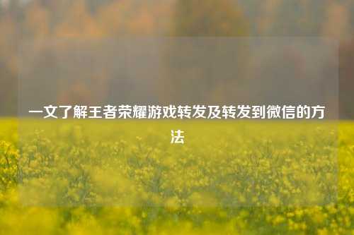 一文了解王者荣耀游戏转发及转发到微信的方法
