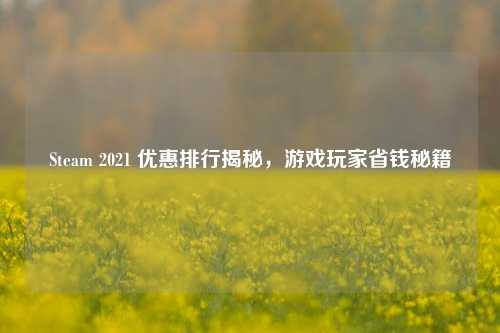 Steam 2021 优惠排行揭秘，游戏玩家省钱秘籍