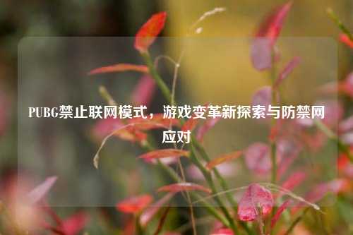 PUBG禁止联网模式，游戏变革新探索与防禁网应对