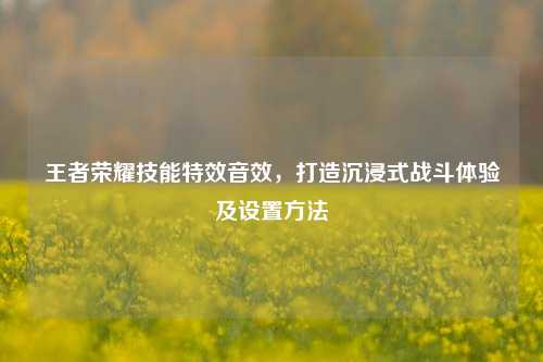王者荣耀技能特效音效，打造沉浸式战斗体验及设置方法