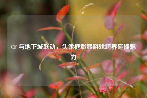 CF 与地下城联动，头像框彰显游戏跨界碰撞魅力