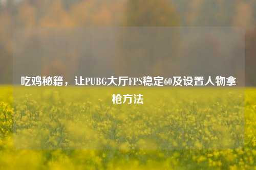 吃鸡秘籍，让PUBG大厅FPS稳定60及设置人物拿枪方法