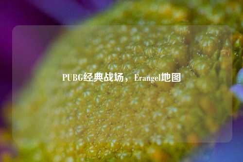 PUBG经典战场,Erangel地图