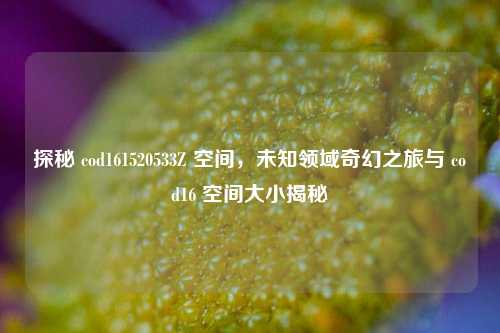 探秘 cod161520533Z 空间，未知领域奇幻之旅与 cod16 空间大小揭秘