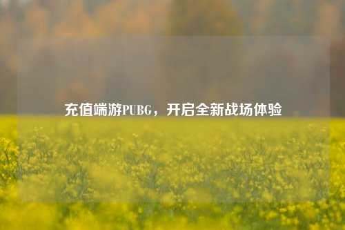充值端游PUBG,开启全新战场体验