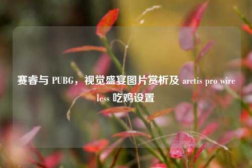 赛睿与 PUBG，视觉盛宴图片赏析及 arctis pro wireless 吃鸡设置