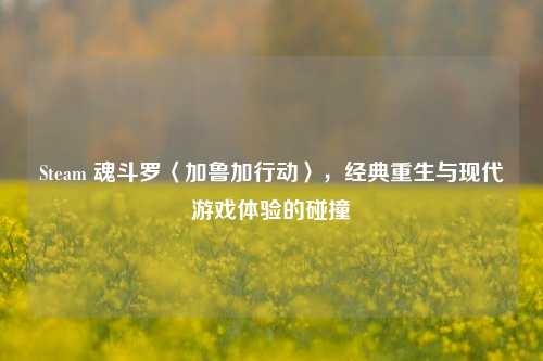 Steam 魂斗罗〈加鲁加行动〉,经典重生与现代游戏体验的碰撞