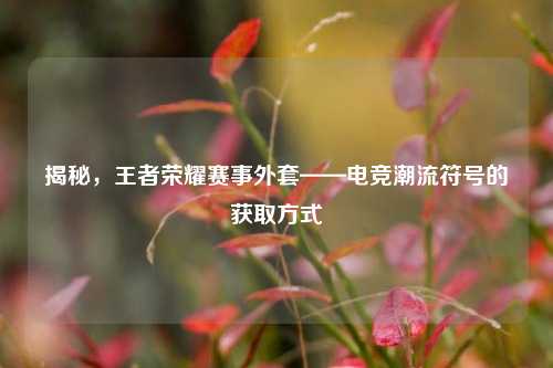 揭秘，王者荣耀赛事外套——电竞潮流符号的获取方式
