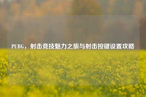 PUBG，射击竞技魅力之旅与射击按键设置攻略
