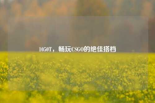 1050T，畅玩CSGO的绝佳搭档
