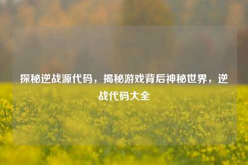 探秘逆战源代码,揭秘游戏背后神秘世界,逆战代码大全