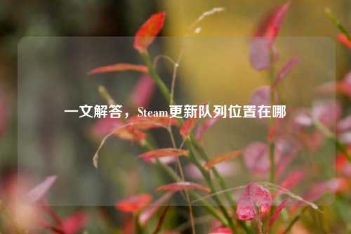 一文解答，Steam更新队列位置在哪