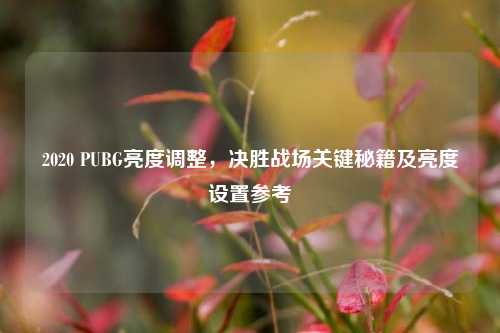 2020 PUBG亮度调整，决胜战场关键秘籍及亮度设置参考