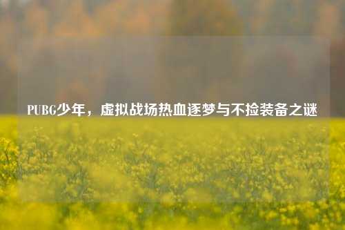 PUBG少年,虚拟战场热血逐梦与不捡装备之谜