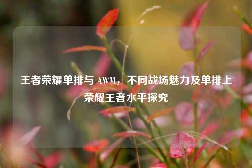 王者荣耀单排与 AWM,不同战场魅力及单排上荣耀王者水平探究