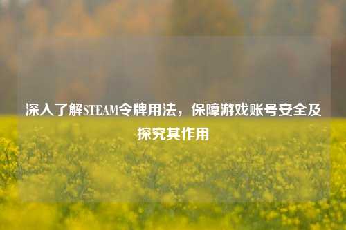 深入了解STEAM令牌用法，保障游戏账号安全及探究其作用