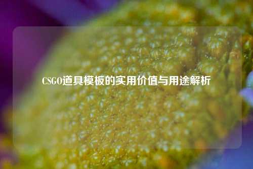 CSGO道具模板的实用价值与用途解析