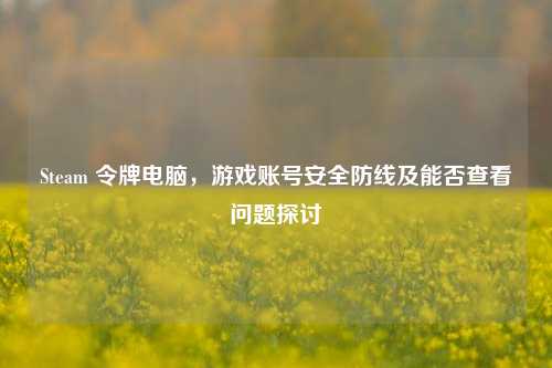 Steam 令牌电脑,游戏账号安全防线及能否查看问题探讨