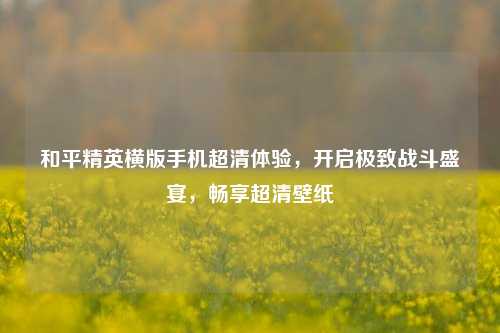 和平精英横版手机超清体验,开启极致战斗盛宴,畅享超清壁纸