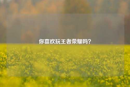 你喜欢玩王者荣耀吗？