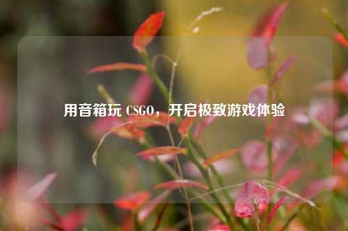 用音箱玩 CSGO,开启极致游戏体验