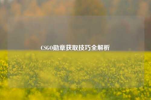 CSGO勋章获取技巧全解析