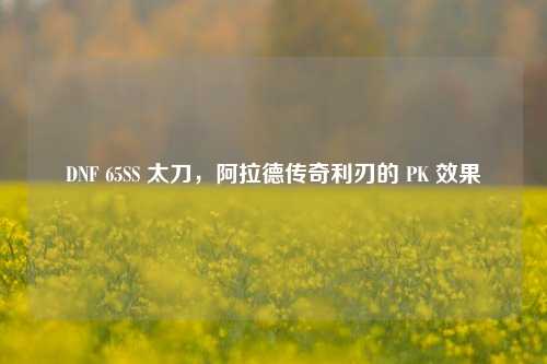 DNF 65SS 太刀，阿拉德传奇利刃的 PK 效果