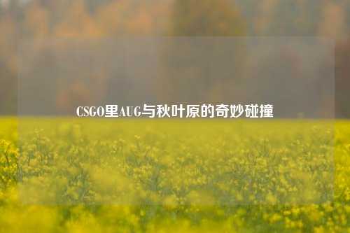 CSGO里AUG与秋叶原的奇妙碰撞