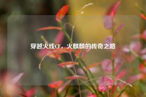 穿越火线CF，火麒麟的传奇之路