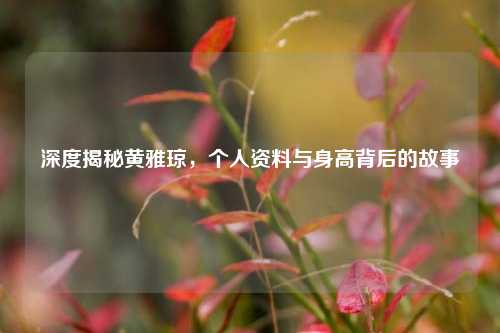 深度揭秘黄雅琼,个人资料与身高背后的故事