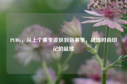 PUBG,从上个赛季皮肤到新赛季,战场时尚印记的延续