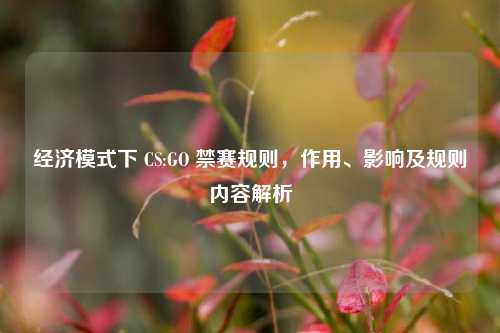 经济模式下 CS:GO 禁赛规则，作用、影响及规则内容解析