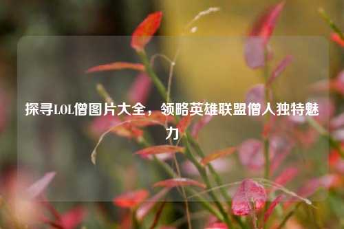 探寻LOL僧图片大全,领略英雄联盟僧人独特魅力