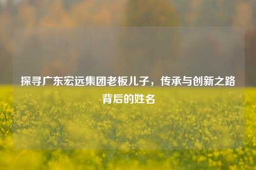 探寻广东宏远集团老板儿子,传承与创新之路背后的姓名