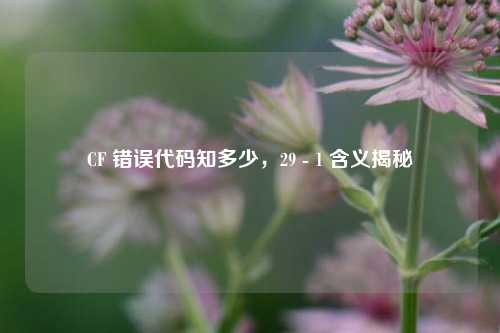 CF 错误代码知多少，29 - 1 含义揭秘
