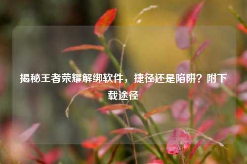 揭秘王者荣耀解绑软件，捷径还是陷阱？附下载途径