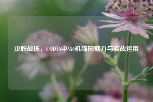 决胜战场，COD16中556机瞄的魅力与实战运用