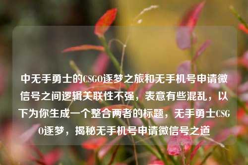 中无手勇士的CSGO逐梦之旅和无手机号申请微信号之间逻辑关联性不强，表意有些混乱，以下为你生成一个整合两者的标题，无手勇士CSGO逐梦，揭秘无手机号申请微信号之道