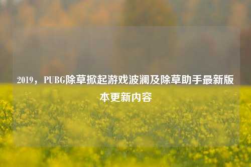 2019，PUBG除草掀起游戏波澜及除草助手最新版本更新内容