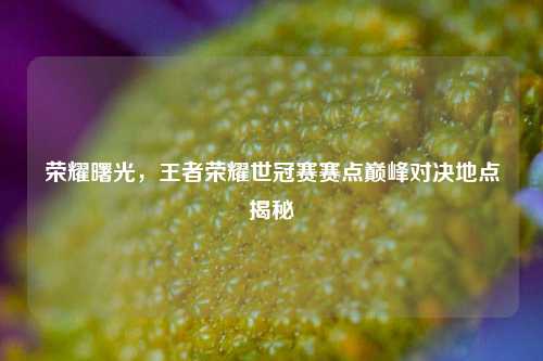 荣耀曙光，王者荣耀世冠赛赛点巅峰对决地点揭秘