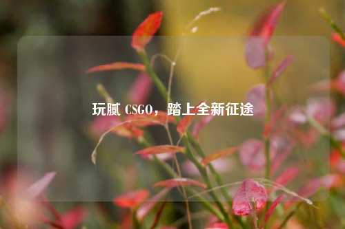 玩腻 CSGO，踏上全新征途