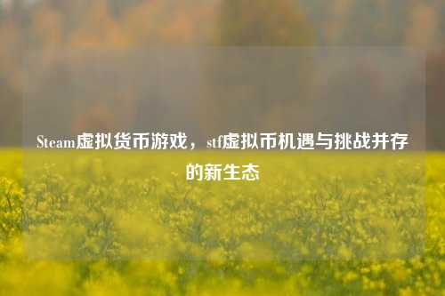 Steam虚拟货币游戏，stf虚拟币机遇与挑战并存的新生态