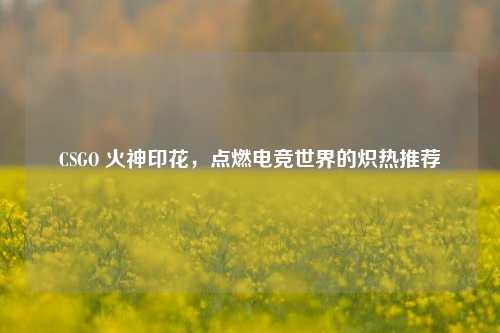 CSGO 火神印花,点燃电竞世界的炽热推荐