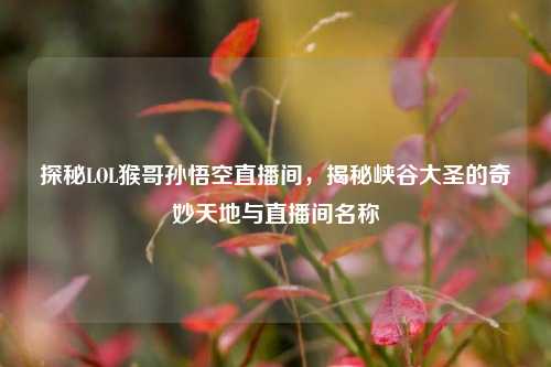 探秘LOL猴哥孙悟空直播间，揭秘峡谷大圣的奇妙天地与直播间名称