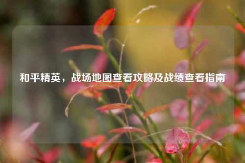 和平精英，战场地图查看攻略及战绩查看指南